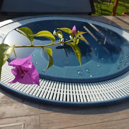 Zsanett Балатонкерестур