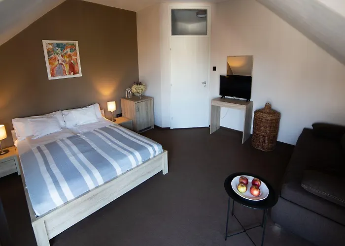 Zsanett Hotel 3*