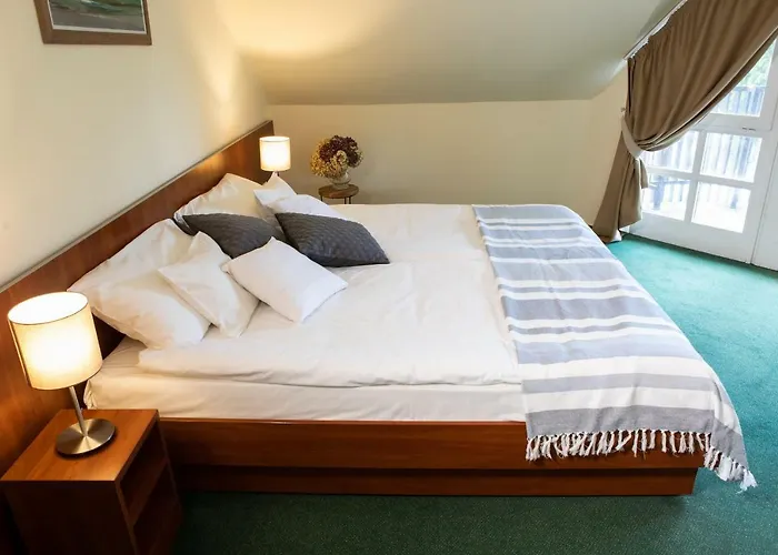 Hotel Zsanett 3*