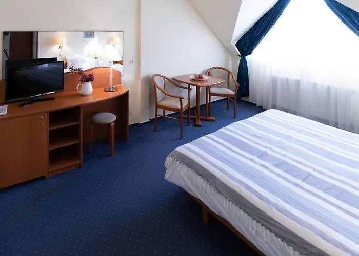 Hotel Zsanett 3*